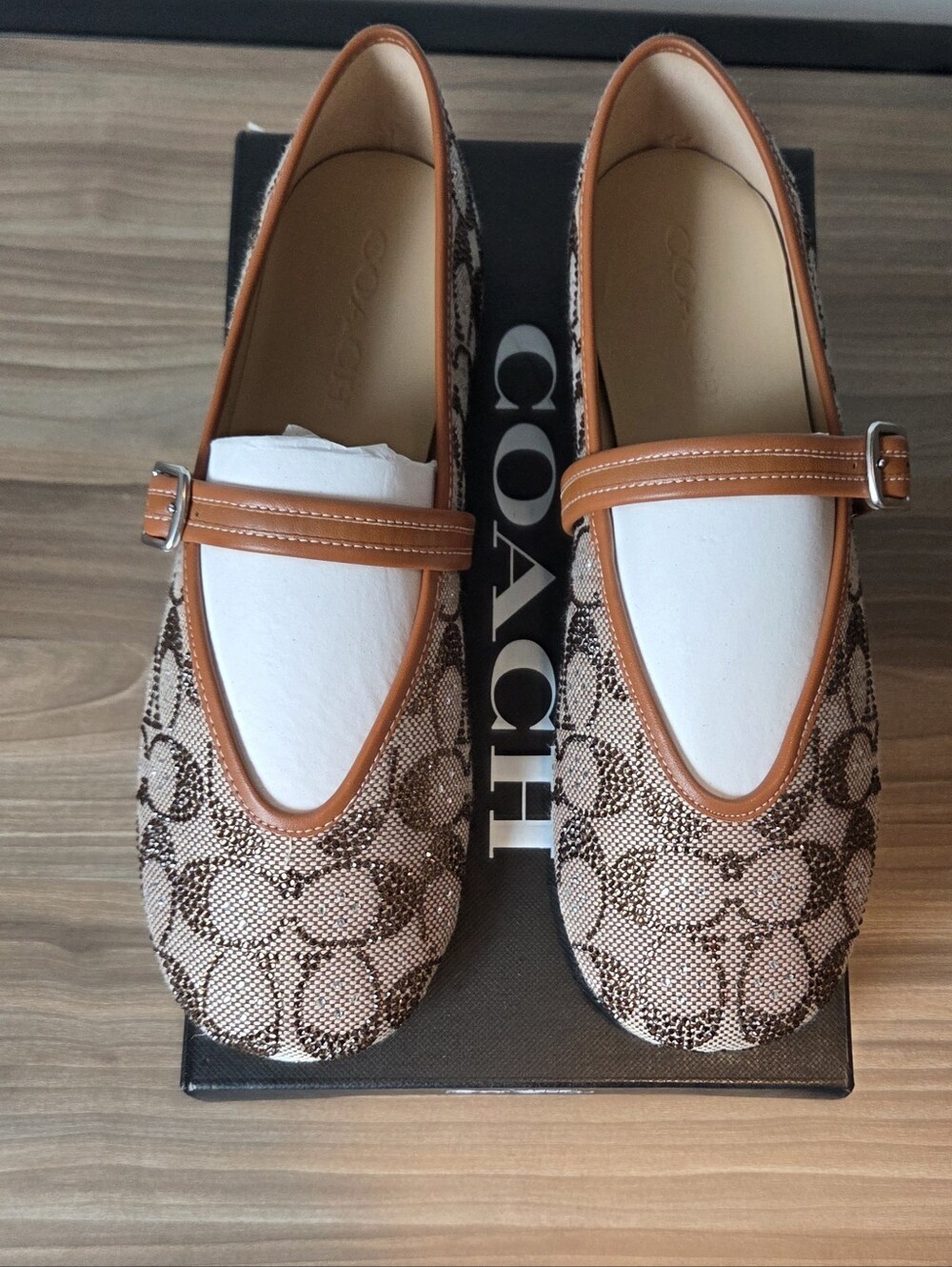 Coach Mary Jane Signature Crystal Jacquard Flats